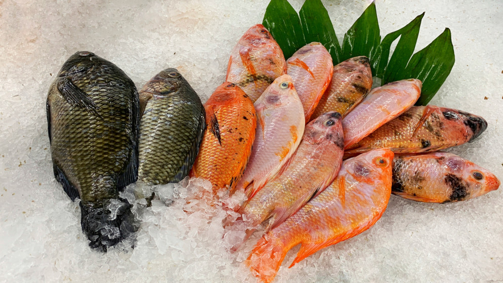 السمك الطازج على كومة من الجليد. (istockphoto)