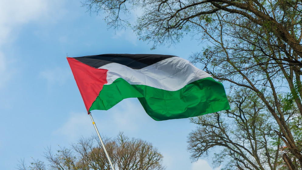 العلم الفلسطيني. (istockphoto)