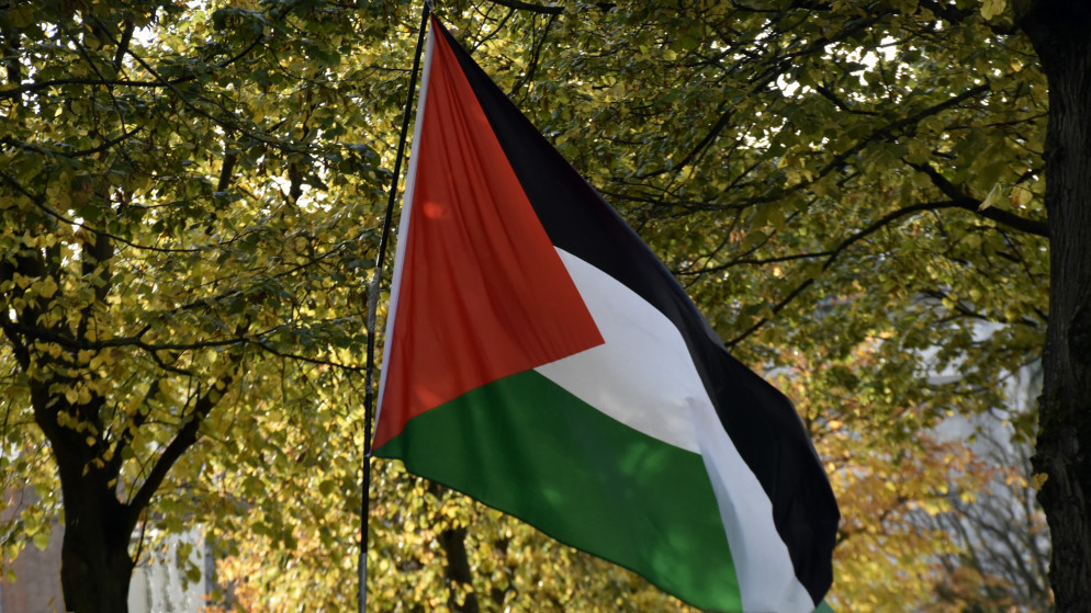 علم فلسطين. (istockphoto)