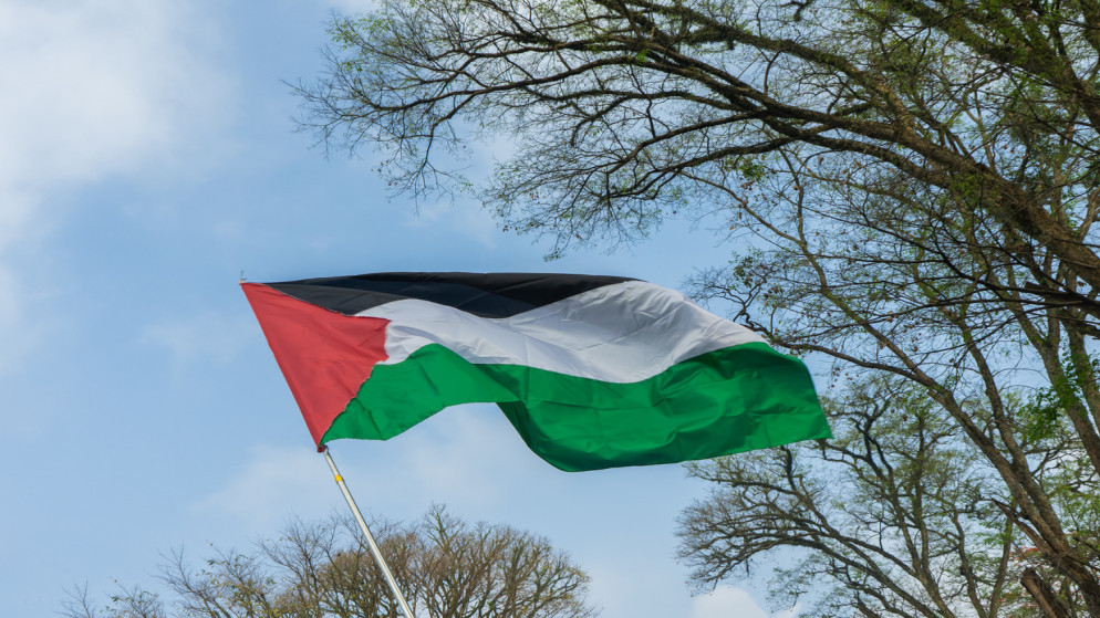 علم فلسطين. (istockphoto)