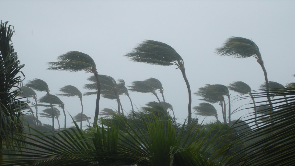 صورة تعبيرية. (istockphoto)