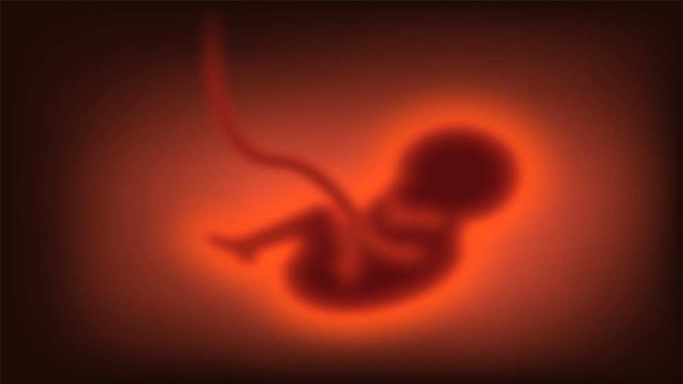 صورة توضيحية لمختبر فحص أجنة. (istockphoto)
