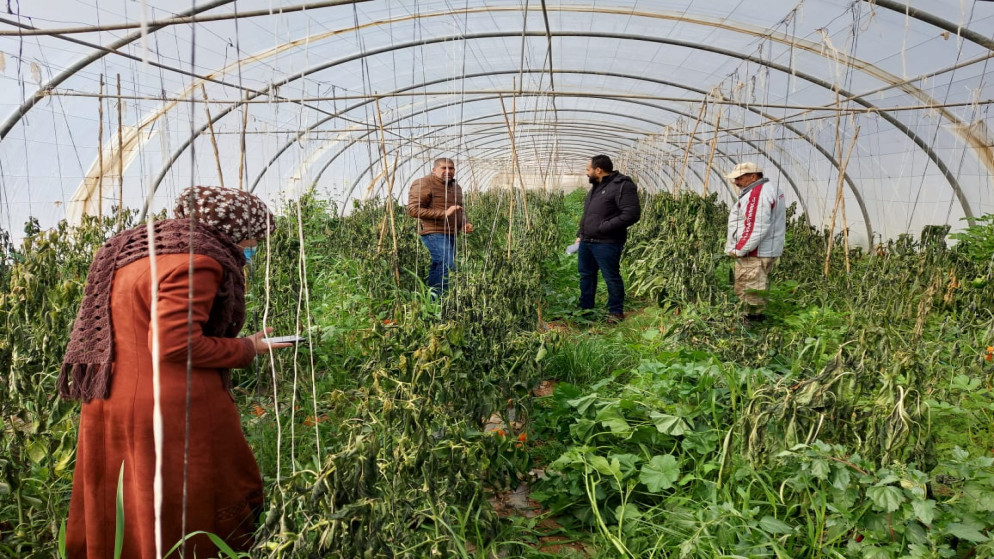 زراعة العقبة تدعو لاتخاذ الاحتياطات مع توقعات بأمطار غزيرة