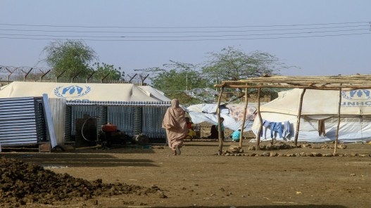 واشنطن تحث مجلس الأمن على التحرك لتوصيل مساعدات إلى السودان من تشاد