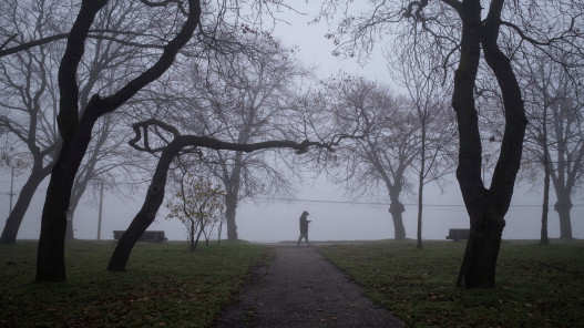 الأرصاد: طقس بارد وتحذيرات من الضباب والصقيع خلال الأيام المقبلة