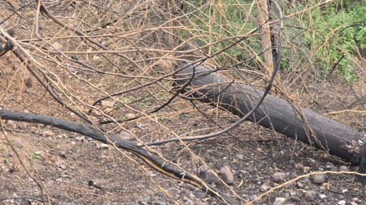مراسل المملكة: سقوط شظايا يتسبب بانقطاع الكهرباء عن عدة مناطق في الأغوار الشمالية