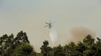 19 قتيلا جراء الحرائق في تشيلي وحظر تجول في المناطق المتضررة