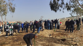 جرش تحتفل بيوم الشجرة بزراعة 500 شجرة حرجية باستخدام تقنية الريّ تحت السطحي