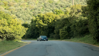 ربيع مبكر في عجلون يعزز الحركة السياحية