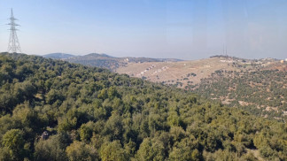 دعوات لتعزيز الوعي المجتمعي لحماية الثروة الحرجية في عجلون