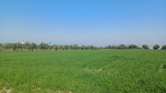 الجمعية الفلكية الأردنية: الاعتدال الربيعي يبدأ الجمعة 20 آذار