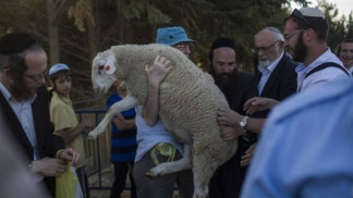 محافظة القدس تحذّر من محاولات إدخال القرابين إلى المسجد الأقصى