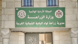 الموسم المطري ينعش قطاعي الزراعة والمياه في البادية الشمالية الغربية