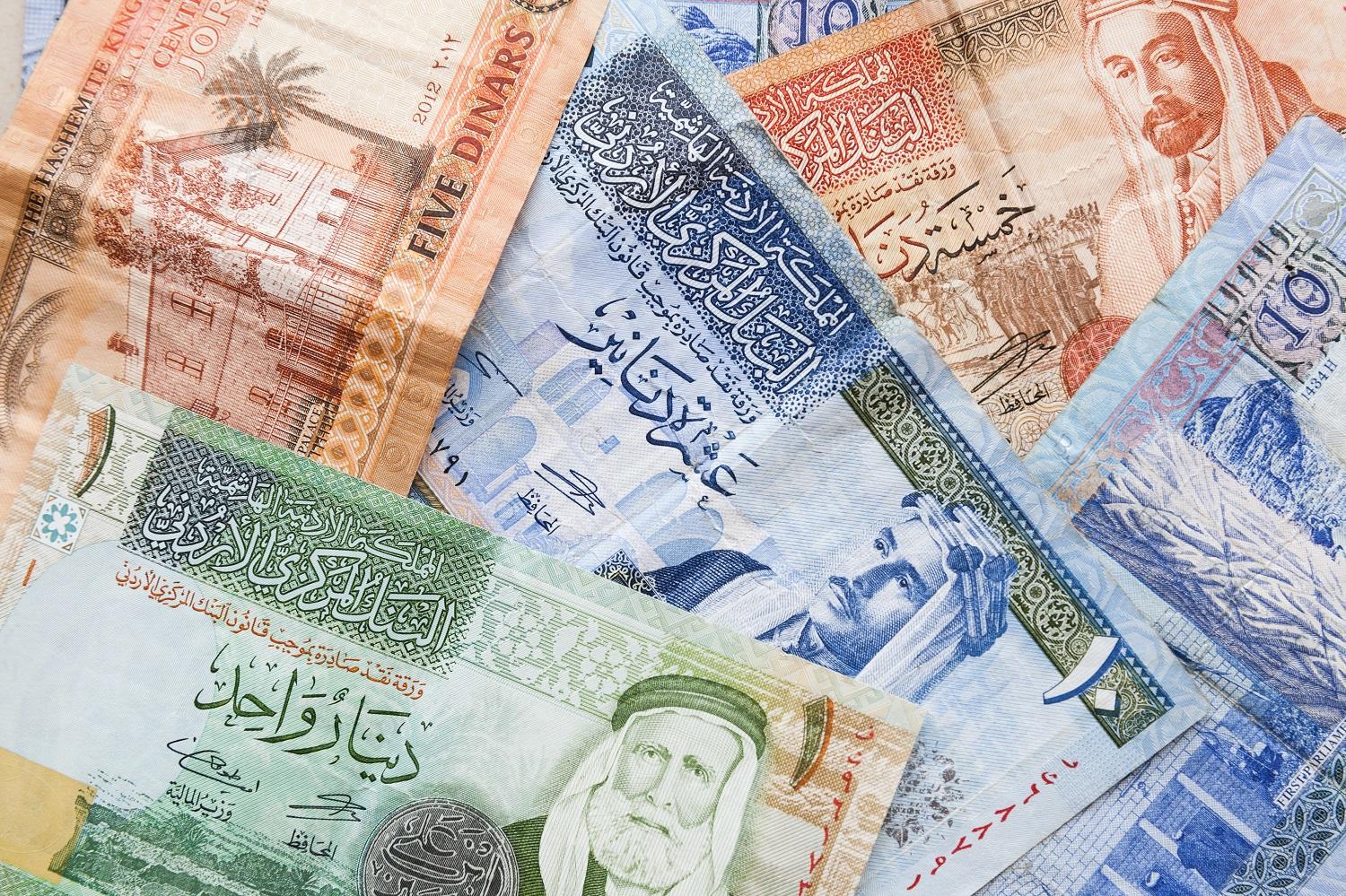 عملة أردنية. (Shutterstock)