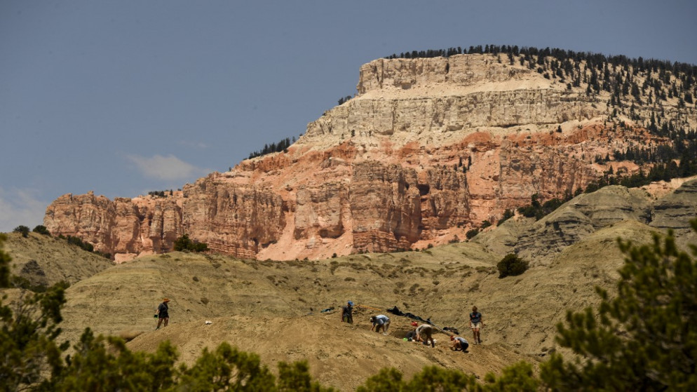 متطوعون وباحثون مع متحف دنفر للطبيعة والعلوم ينقبون عن عظام ديناصورات ومتحجرات من أحد التلال في ولاية يوتا. 21 تموز/ يوليو 2021. (أ ف ب)