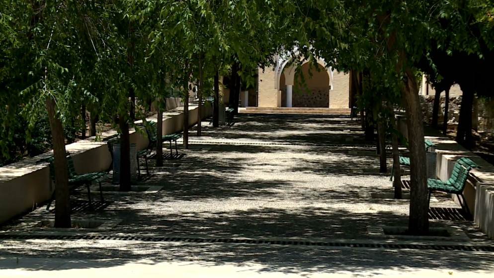حديقة عامة في مدينة عمان. (المملكة)