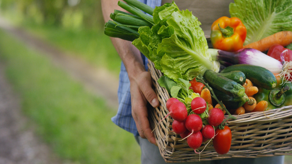 صورة توضيحية لمزارع يحمل خضراوات. (shutterstock)