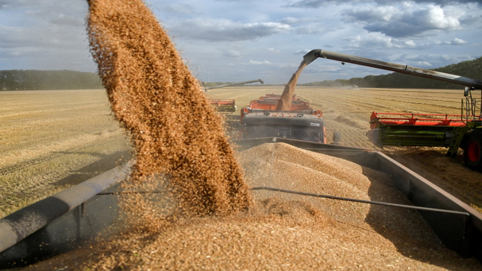 يجمع القمح في شاحنات بالقرب من قرية سوليانوي في منطقة أومسك في روسيا، 8 أيلول/سبتمبر 2022. (رويترز)