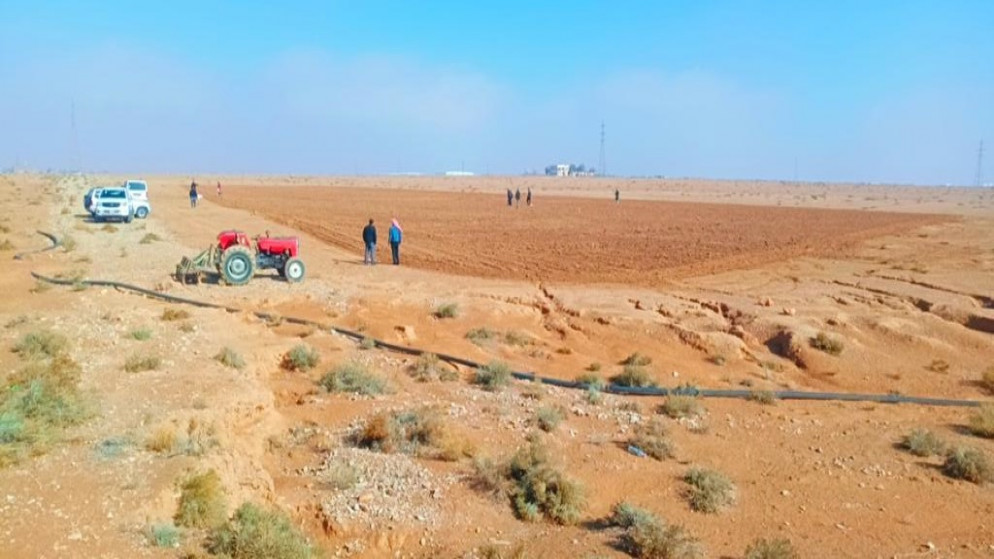 مزرعة محطة الموقر الزراعية في المناطق الجافة في منطقة البادية الأردنية الوسطى. (الجامعة الأردنية)