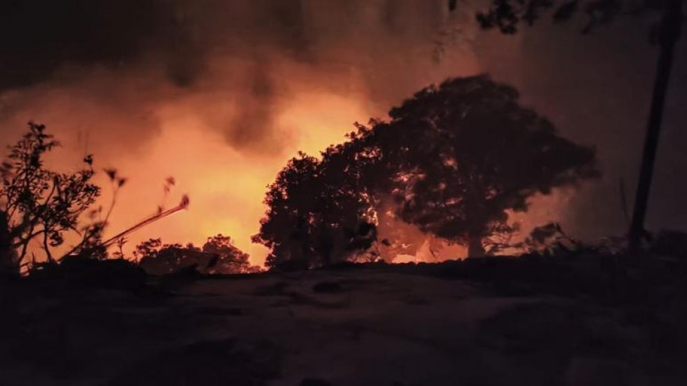 حريق أشجار حرجية وأعشاب في محمية غابات اليرموك في لواء بني كنانة. (المملكة)