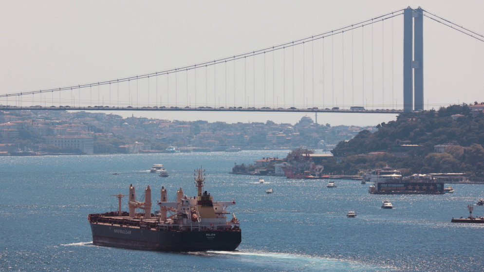 إبحار سفينة محملة بالحبوب الأوكرانية عبر مضيق البوسفور في إسطنبول. 7 آب/ أغسطس 2022. (رويترز)