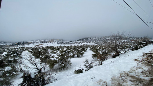 إدارة الأرصاد الجوية تنشر سماكة الثلوج في عدة مناطق في الأردن