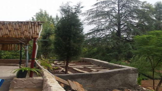  وزارة الزراعة تحول مشتل عين جملا الحرجي لإنتاج أشتال الزينة بدلا من الأشتال الحرجية 