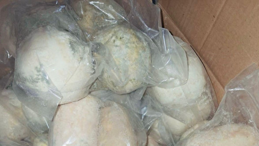  مؤسسة الغذاء والدواء تغلق مستودع جميد غير مرخص 