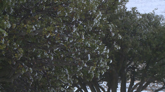  وزارة الزراعة: الهطل المطري مبشّر حتى الآن 