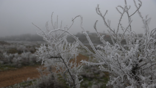  الأرصاد الجوية تحذر من تشكل الصقيع والانجماد الليلة وصباح الخميس 