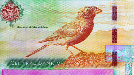  صندوق النقد: قدرة الأردن على سداد الدين كافية ومسار الدين في انخفاض 