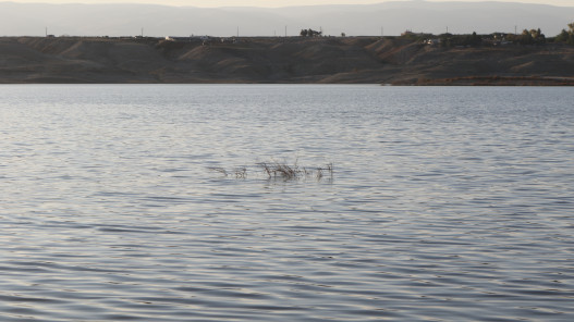  وزارة المياه: قرب فيضان سد زرقاء ماعين  