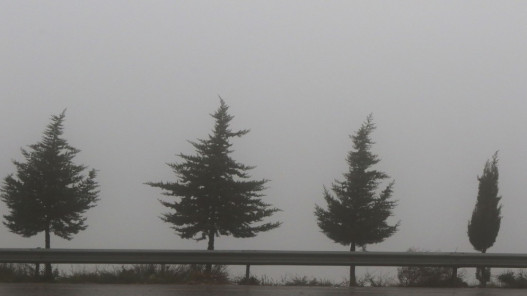  استقرار تدريجي للحالة الجوية مساء الجمعة وتحذيرات من تشكل الضباب 