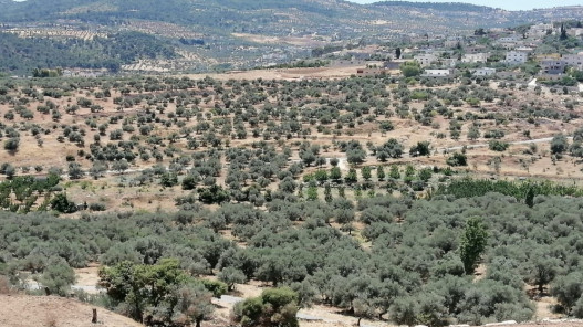  محافظ جرش يعمم برفع الجاهزية القصوى داخل المحافظة استعدادا للمنخفض الجوي 