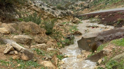  زراعة إربد: الهطولات المطرية دفعة قوية للقطاع الزراعي 