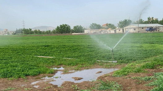 سلطة وادي الأردن تدعو المزارعين الذين لديهم حاجة لتأمين مياه الري إلى التنسيق مع مديري التشغيل 