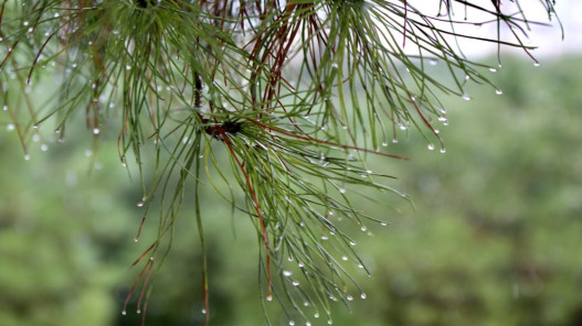  أجواء باردة وأمطار متفرقة تسبق تحسنا تدريجيا على درجات الحرارة مطلع الأسبوع 