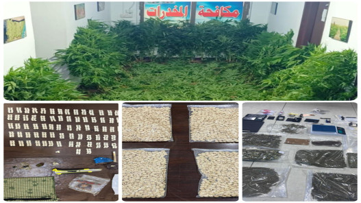  "مكافحة المخدرات": القبض على 35 تاجرا ومروجا للمخدرات في 13 قضية نوعية 