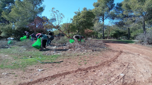  "البيئة" تنفذ حملات نظافة شاملة للحد من الإلقاء العشوائي للنفايات 