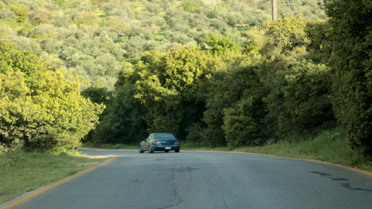  ربيع مبكر في عجلون يعزز الحركة السياحية 