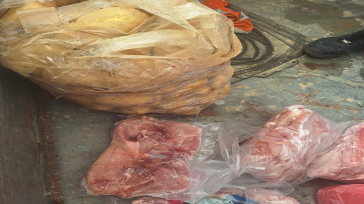  الغذاء والدواء: إتلاف 240 كغم من الدجاج المجمد مجهول المصدر 