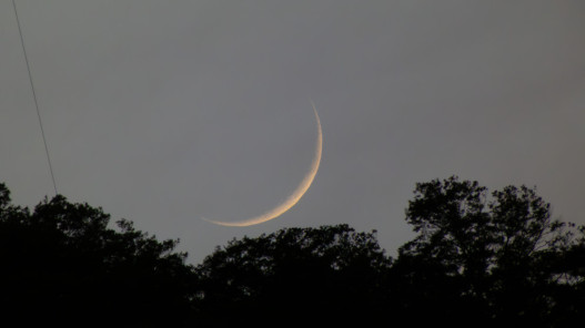  المحكمة العليا السعودية تدعو إلى تحري رؤية هلال شهر رمضان الثلاثاء 