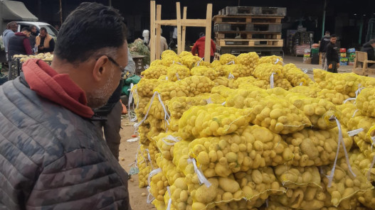  إتلاف كميات من الموز والبطاطا غير الصالحة للاستهلاك في إربد 