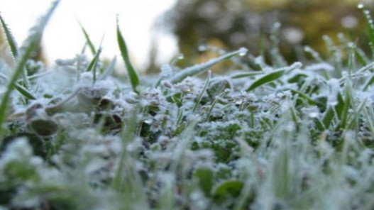  الأرصاد الجوية: طقس شديد البرودة ليلا.. وتحذير من تشكّل الصقيع 