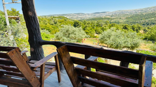  توقعات بزيادة الإشغال السياحي في عجلون خلال عطلة عيد الفطر 