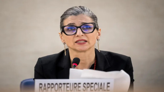  خبيرة أممية تحذر من تحوّل التعذيب إلى "عقيدة دولة" في إسرائيل 