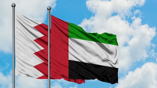 الإمارات تعلن مقتل متعاقد مدني بالقوات المسلحة الإماراتية في البحرين 