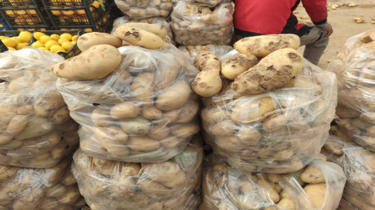  2668 طنا من الخضار ترد السوق المركزي الأحد 