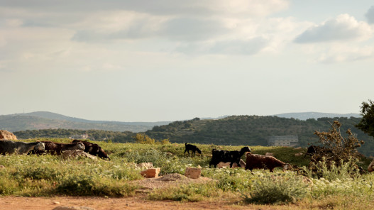  ارتفاع طفيف على الحرارة الثلاثاء وحالة عدم استقرار جوي مساء الأربعاء 
