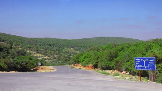  عجلون: التماسك المجتمعي ركيزة لمواجهة الشائعات خلال الأزمات 